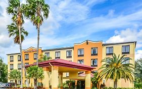 Comfort Suites Tampa - Brandon
